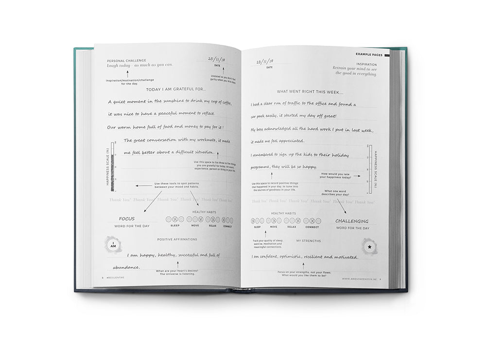 Breathe resilience journal. What went right this week